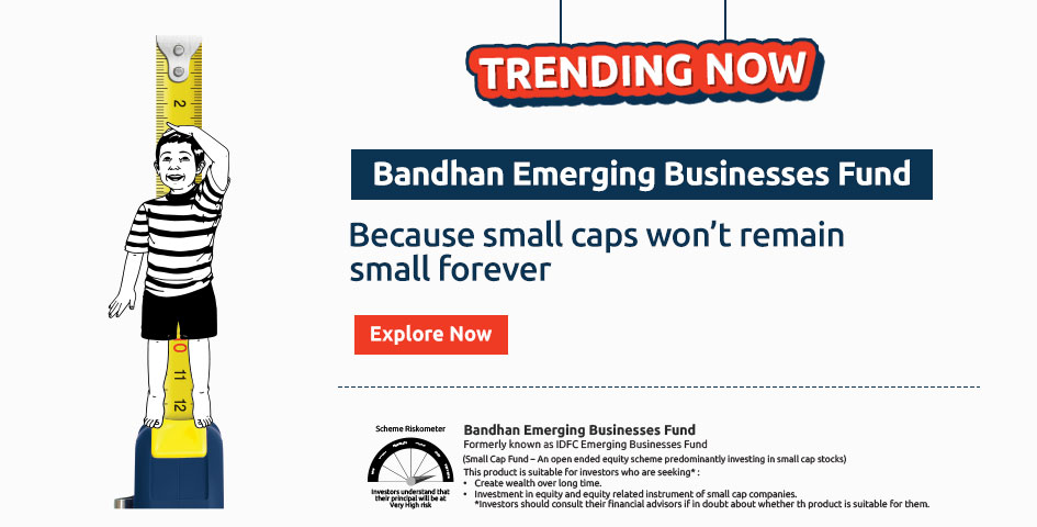 Emerging Businesses Fund Banner 